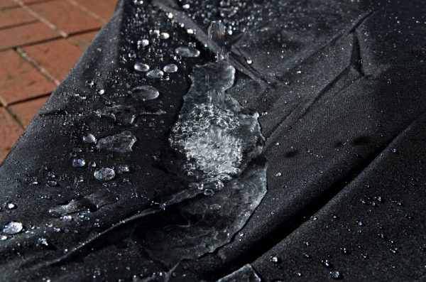 1394449187_24bd85f88e