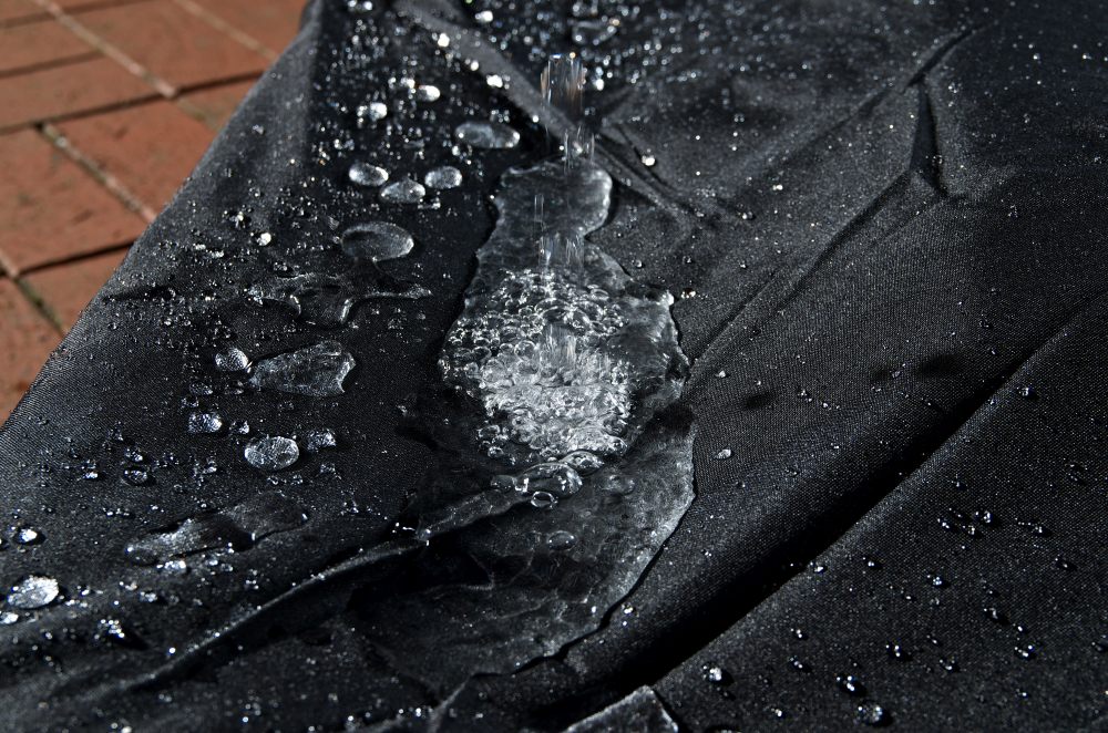 1394449187_24bd85f88e