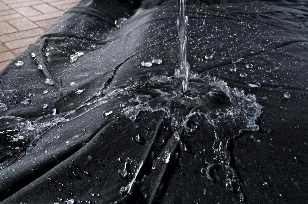 1432036944_ebd4363f9a