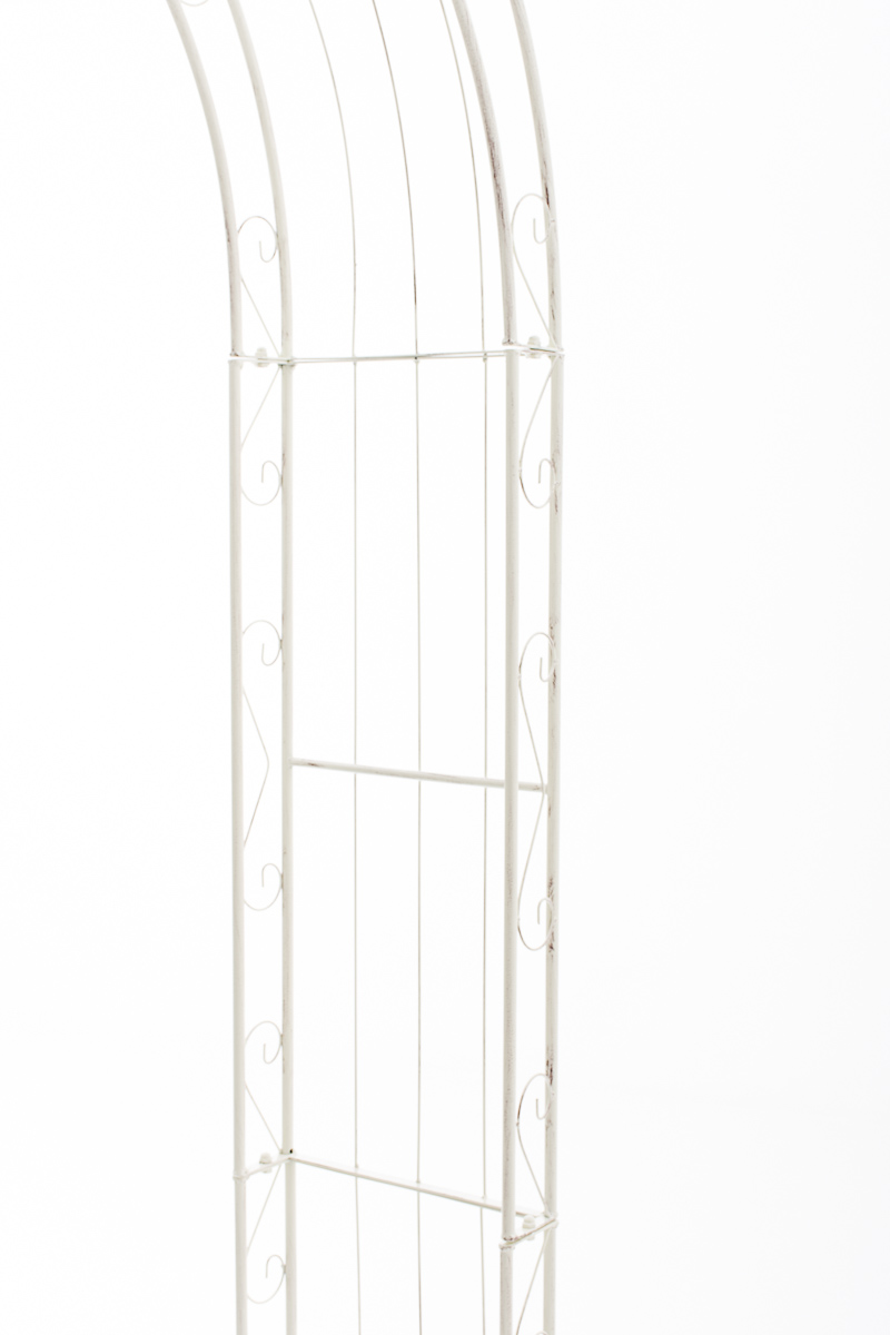 1509365611_4d1fbcf780