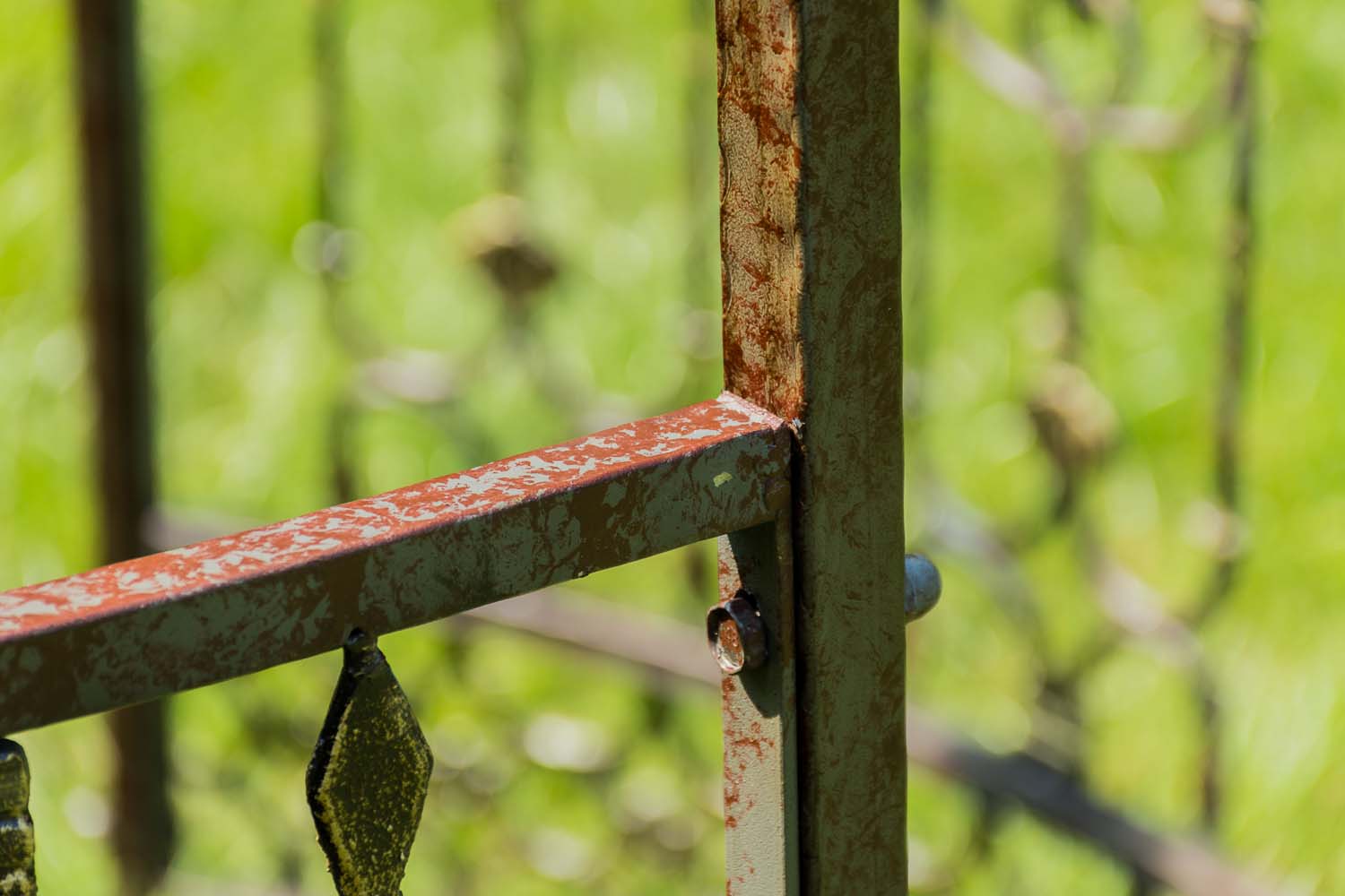 1534403033_791ac516f5