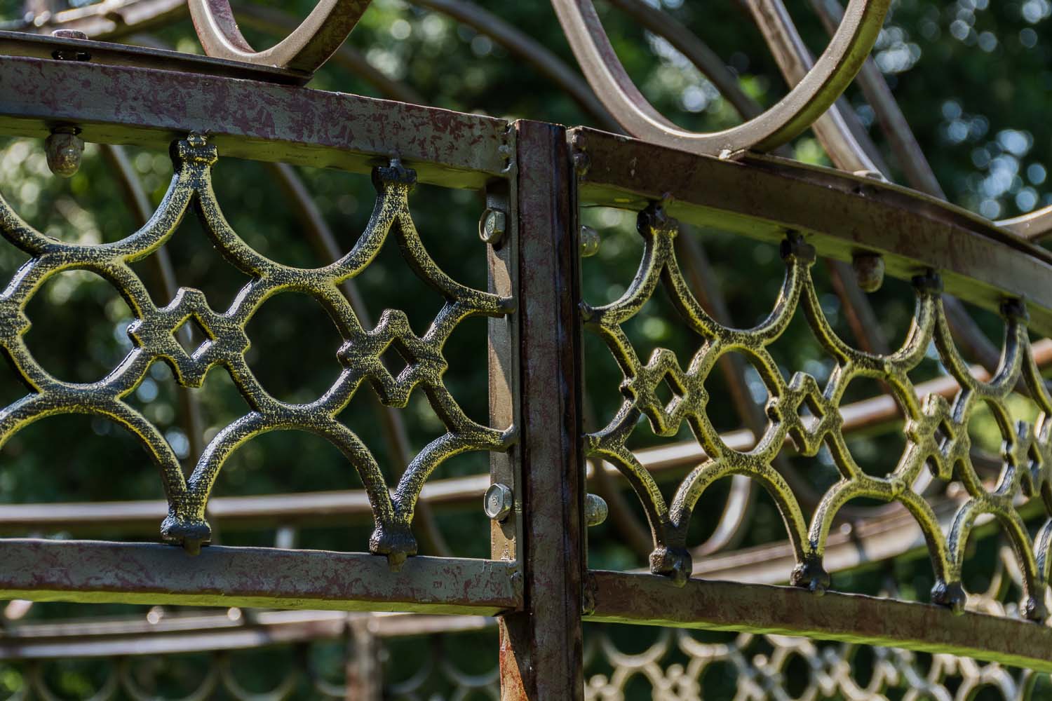 1534403058_81b3446bef