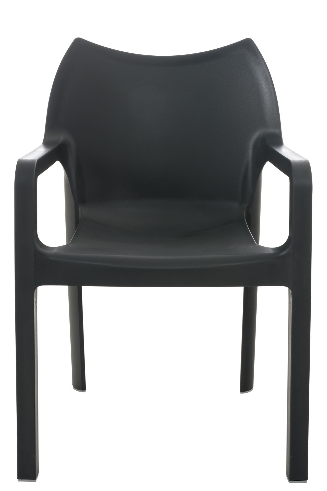 1561111531_4f456281be