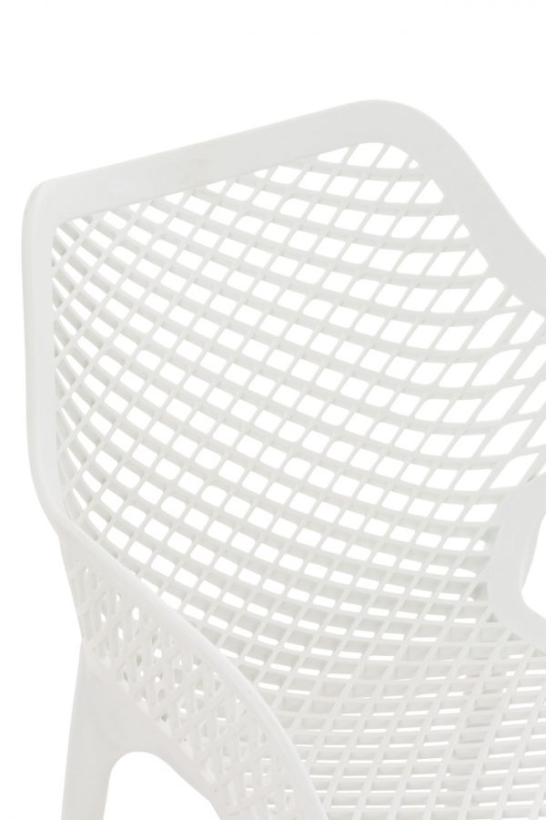 1562231925_727921ea31