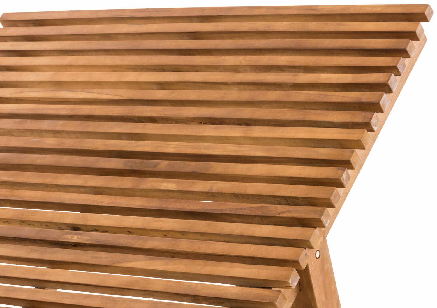 1573642679_b3dea1d481