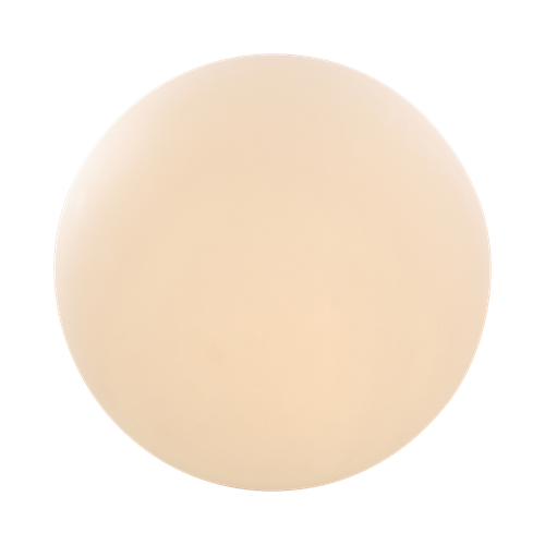 2575061_P 2575061_P.png