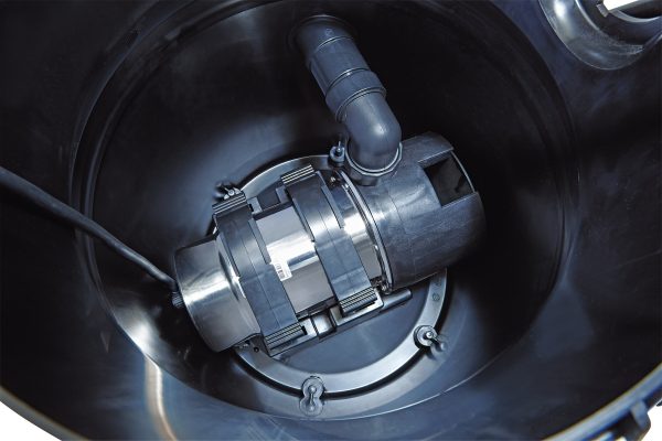 41982_6.jpg