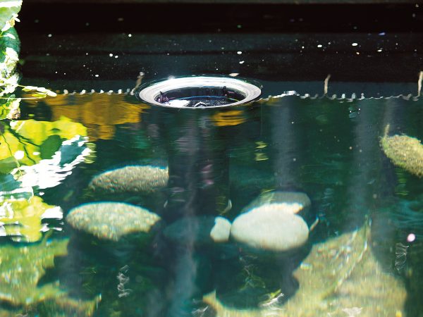 56907_10.jpg