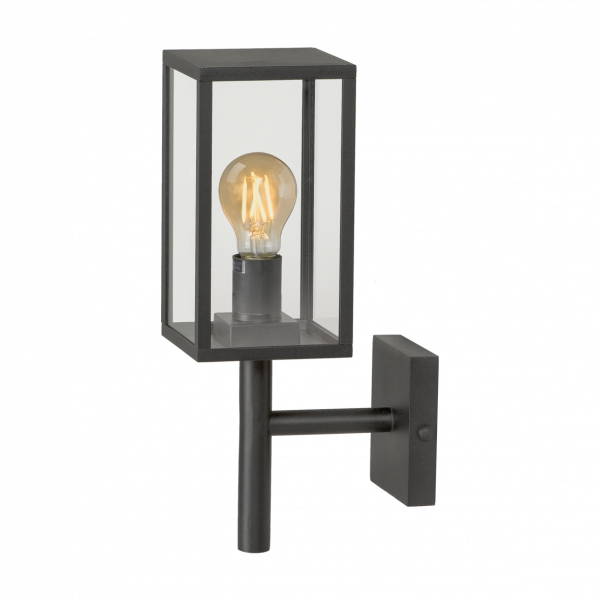 Celata-3188011 Celata 3188011.png