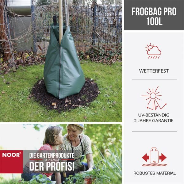 Collage_Frog_Pro_1