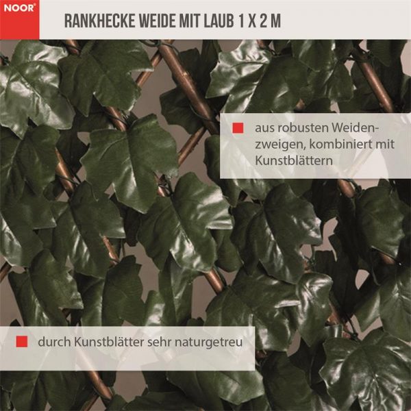 Rankhecke Weide2