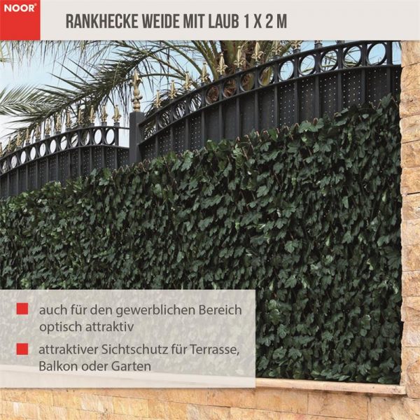 Rankhecke Weide3