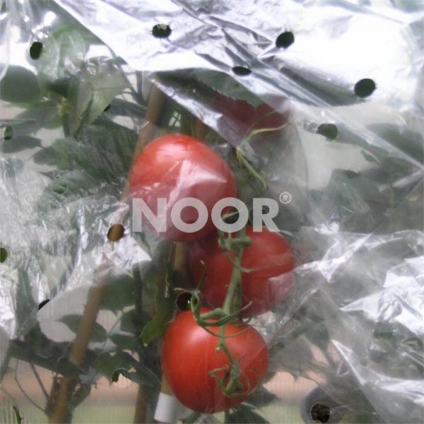 Tomatenhaube0,65x10mDetail