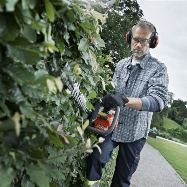 baumteufel-shop-hecke-schneiden.jpg