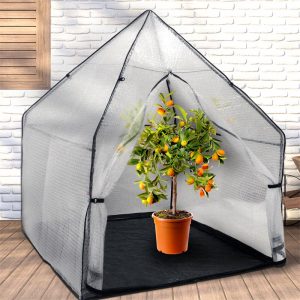 big-Tent-2_WEB