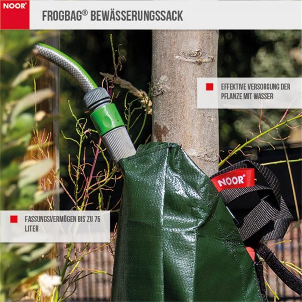 frogbag3